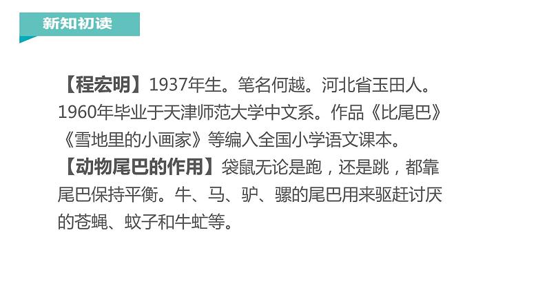 部编版一年级语文上册《比尾巴》PPT教学课件 (4)第3页