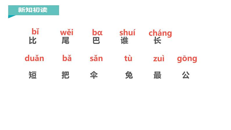 部编版一年级语文上册《比尾巴》PPT教学课件 (4)第4页