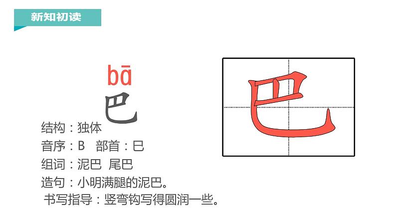 部编版一年级语文上册《比尾巴》PPT教学课件 (4)第8页