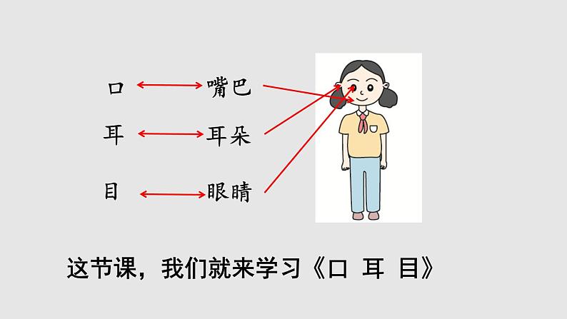 部编版一年级语文上册《口耳目》PPT课件 (3)第3页