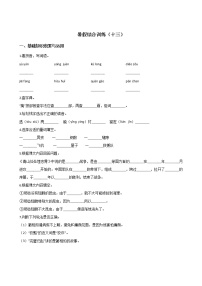 四年级下册语文试题-暑假综合训练（十三） 人教新课标 （含答案）