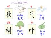 部编版一年级语文上册《秋天》PPT (1)