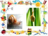 部编版一年级语文上册《小蜗牛》PPT精品课件 (10)