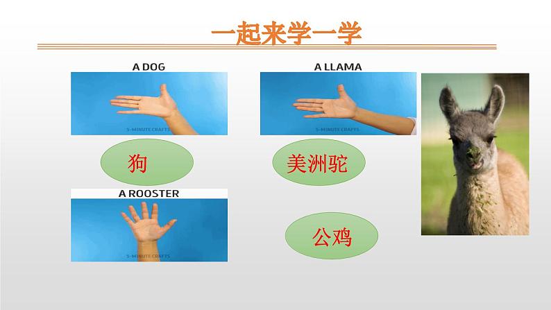 部编版一年级语文上册《影子》PPT课件 (7)第4页