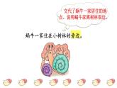 部编版一年级上册语文 第8单元 14.小蜗牛品读释疑课件