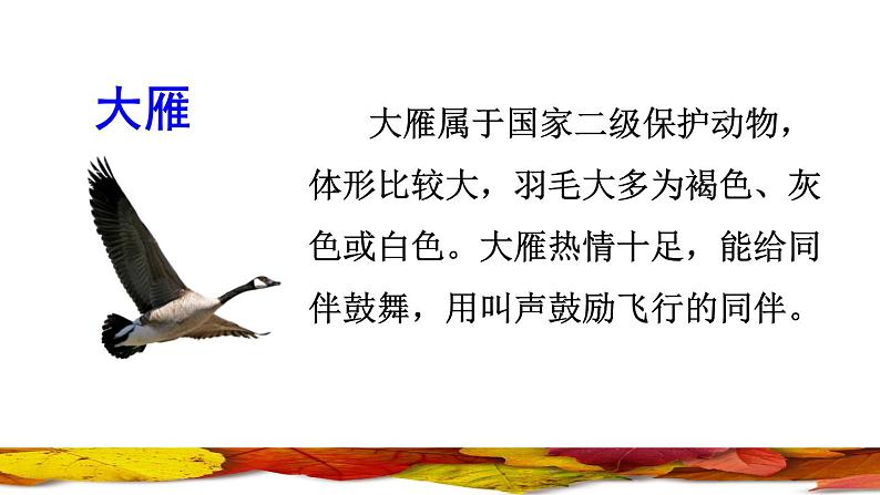 部编版一年级上册语文 第4单元 1.秋天课前预习课件第3页