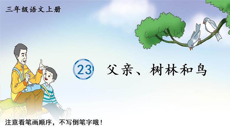 23 父亲、树林和鸟 人教版语文三上生字教学课件（含自动播放配音）01