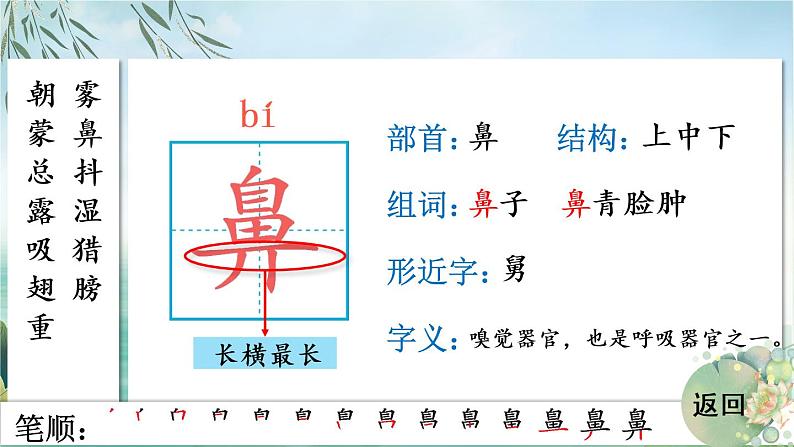 23 父亲、树林和鸟 人教版语文三上生字教学课件（含自动播放配音）06