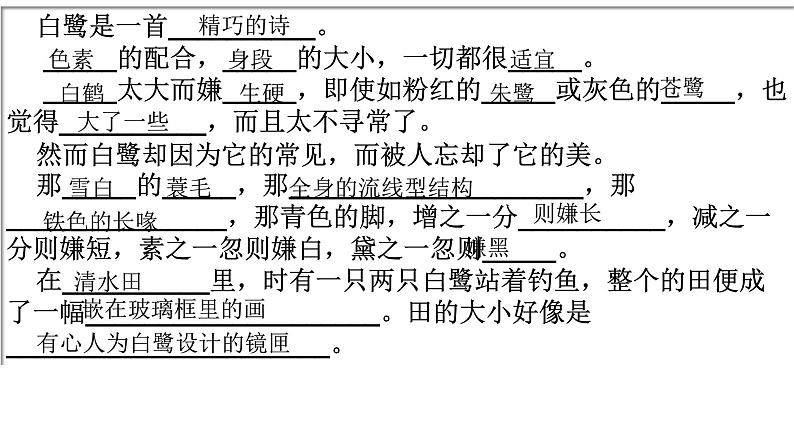 部编版五年级上册语文期末复习课件（配习题）第4页