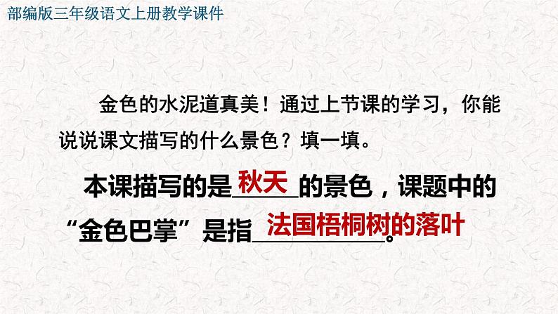 2021-2022学年部编版小学三年级语文上册5 铺满金色巴掌的水泥道课件PPT02