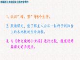 2021-2022学年部编版小学三年级语文上册9 那一定会很好课件PPT