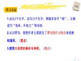 部编版三年级语文上册《搭船的鸟》PPT课文课件 (2)