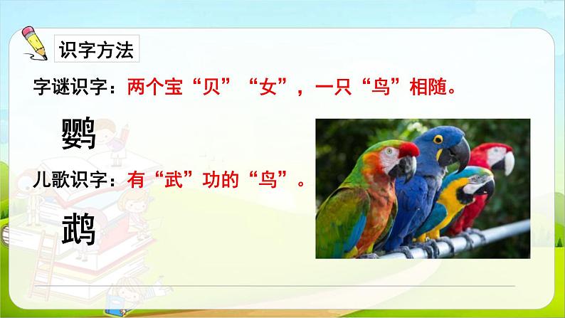 部编版三年级语文上册《搭船的鸟》PPT课文课件 (6)第5页