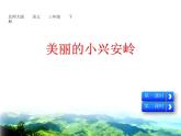 部编版三年级语文上册《美丽的小兴安岭》PPT课件 (13)