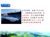 部编版三年级语文上册《美丽的小兴安岭》PPT课件 (13)
