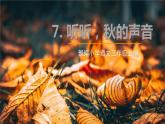 部编版三年级语文上册《听听，秋的声音》PPT优质课件下 (5)