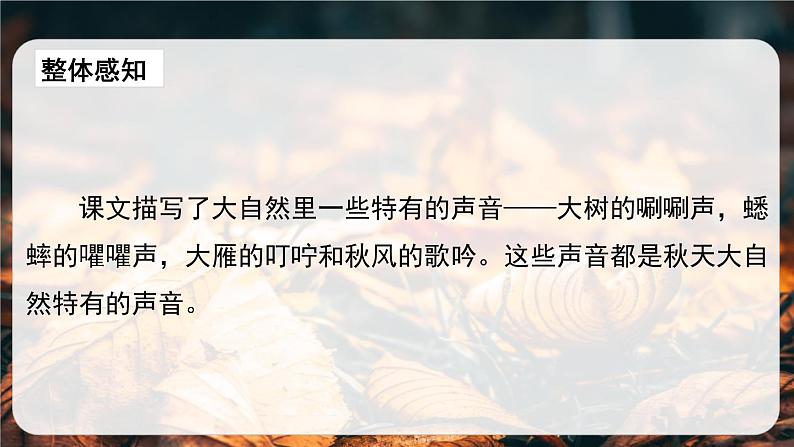 部编版三年级语文上册《听听，秋的声音》PPT优质课件下 (5)08