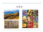 部编版三年级语文上册《美丽的小兴安岭》PPT课件 (12)