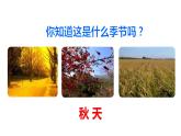 部编版三年级语文上册《听听，秋的声音》PPT优质课件下 (3)