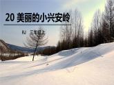 部编版三年级语文上册《美丽的小兴安岭》PPT课件 (2)