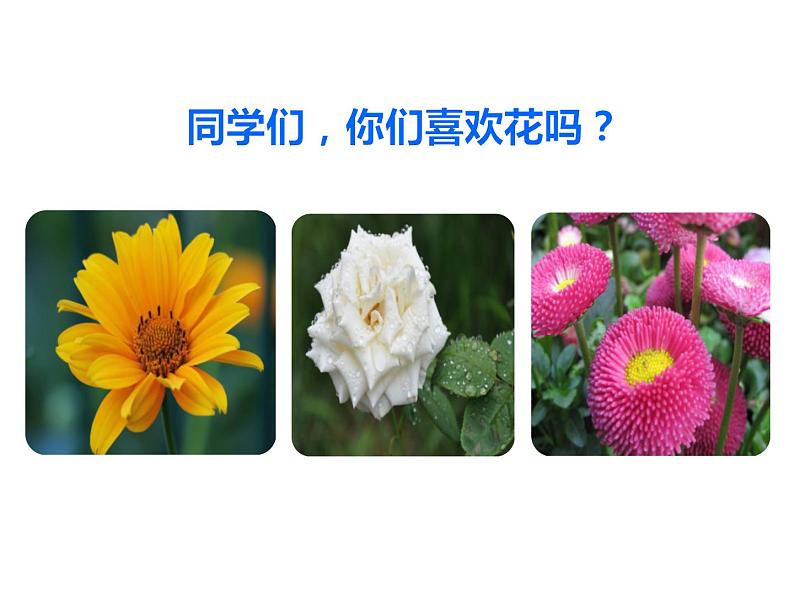 部编版六年级语文上册《花之歌》PPT优质课件第2页