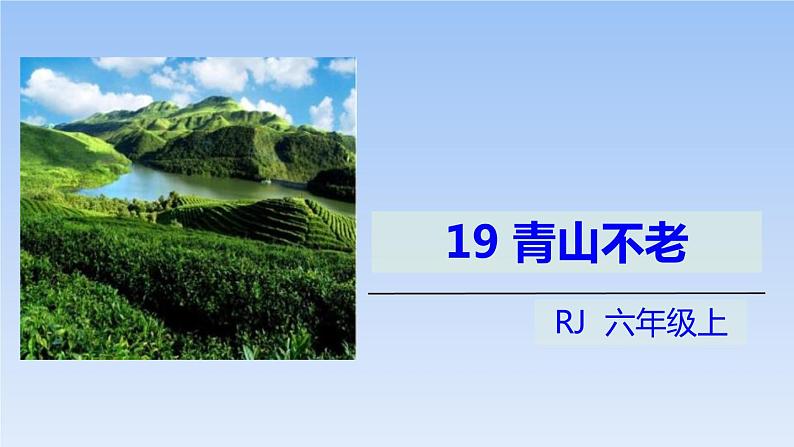 部编版六年级语文上册《青山不老》PPT优质课件 (1)01