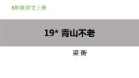 小学语文人教部编版六年级上册20* 青山不老教学ppt课件