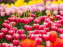 语文三年级上册第一单元2 花的学校图文课件ppt