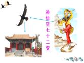 习作：变形记 课件
