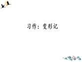 习作：变形记 课件