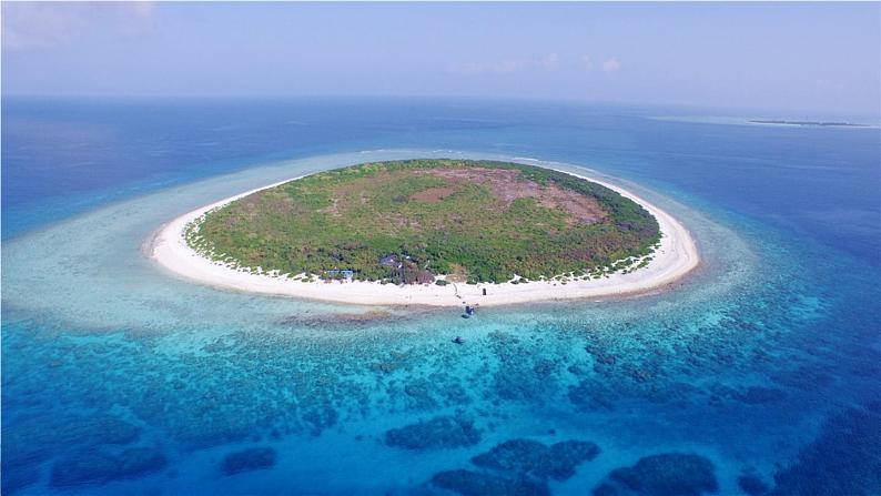 部编版三年级上册语文 第6单元 授课课件03