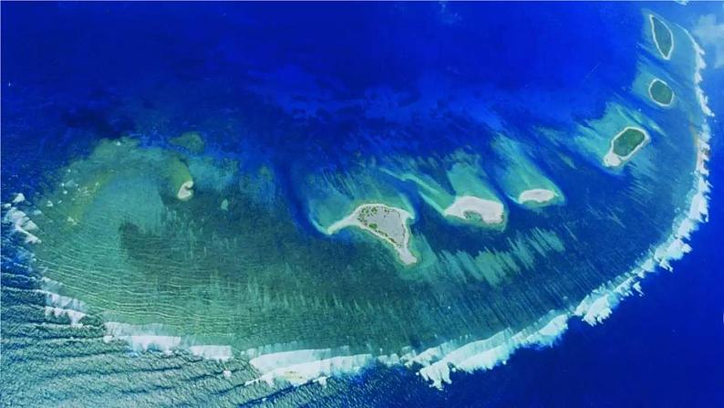 部编版三年级上册语文 第6单元 授课课件04