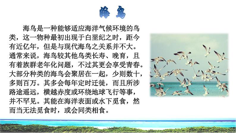 部编版三年级上册语文 第6单元 授课课件07