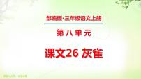 人教部编版三年级上册第八单元26 灰雀课文ppt课件