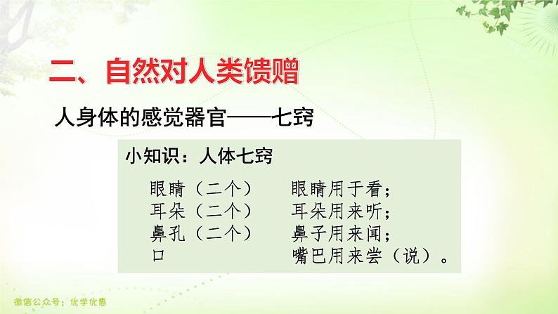 三年级上册第八单元 传统文化鉴赏·大自然的礼物课件PPT第4页