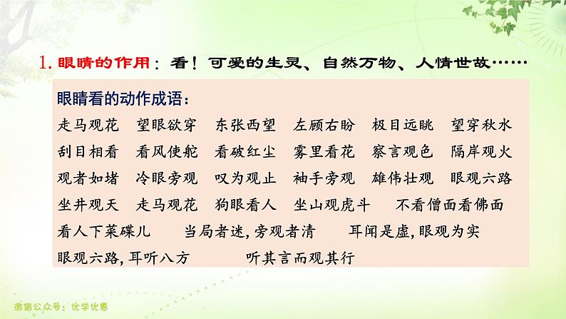 三年级上册第八单元 传统文化鉴赏·大自然的礼物课件PPT第6页