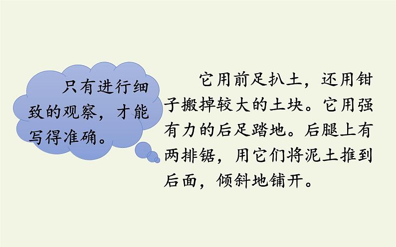 部编版四年级上册第三单元语文园地教学评助课时备课设计（ppt）第4页