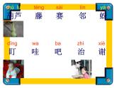 2021-2022学年部编版二年级上册语文《我要的是葫芦》ppt课件