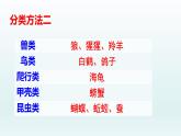2021-2022学年部编版二年级上册语文语文园地八课件PPT