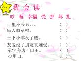 2021-2022学年部编版二年级上册语文《纸船和风筝》ppt课件