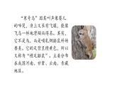 2021-2022学年部编版二年级上册语文13.寒号鸟课件PPT