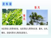 2021-2022学年部编版二年级上册语文24.风娃娃课件PPT