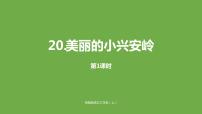 小学语文人教部编版三年级上册20 美丽的小兴安岭课文内容课件ppt