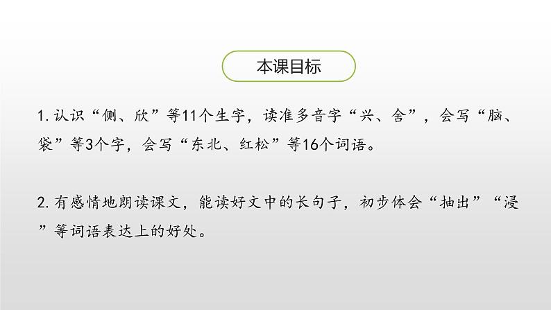 三年级上册语文课件-20美丽的小兴安岭（第一课时）人教（部编版） (共21张PPT)第2页