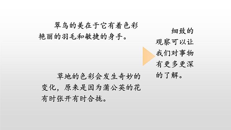 部编版小学三年级语文上册习作-我们眼中的缤纷世界课件04