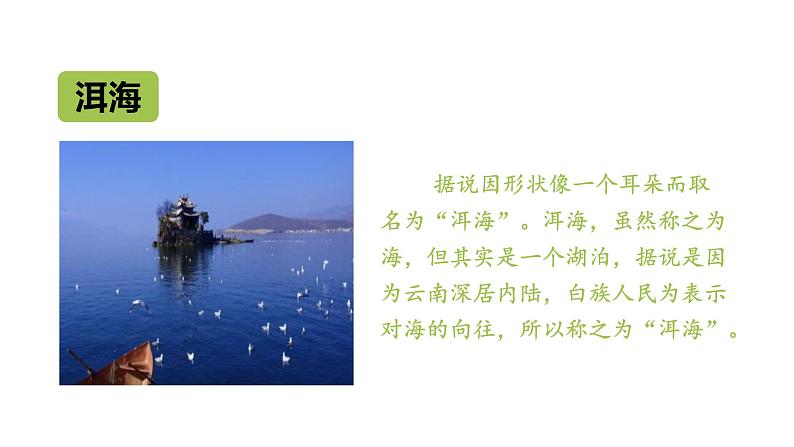 四年级上册第一单元 课文2 走月亮课件PPT05