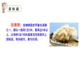 四年级上册第一单元 课文1 观潮课件PPT