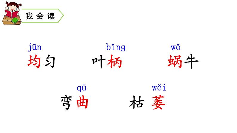 四年级上册语文第三单元 课文10 爬山虎的脚课件PPT06