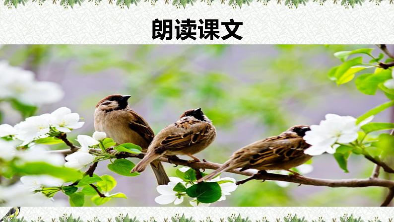 部编版四年级语文上册《麻雀》PPT优质课件 (3)第7页