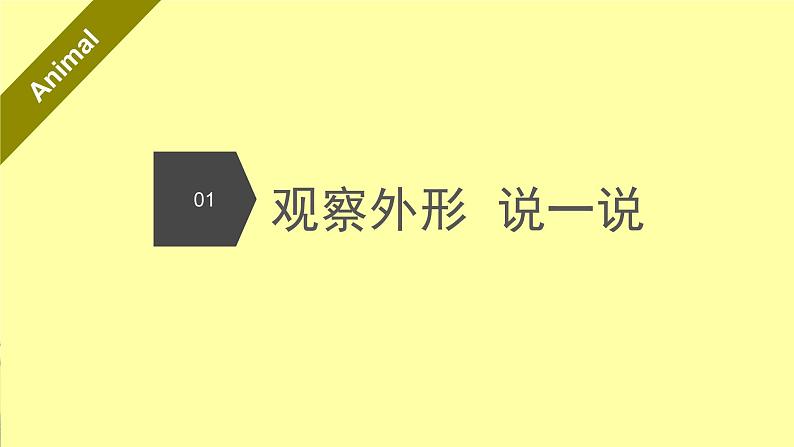 部编版语文二年级上册写话指导—— 可爱的动物  课件第7页